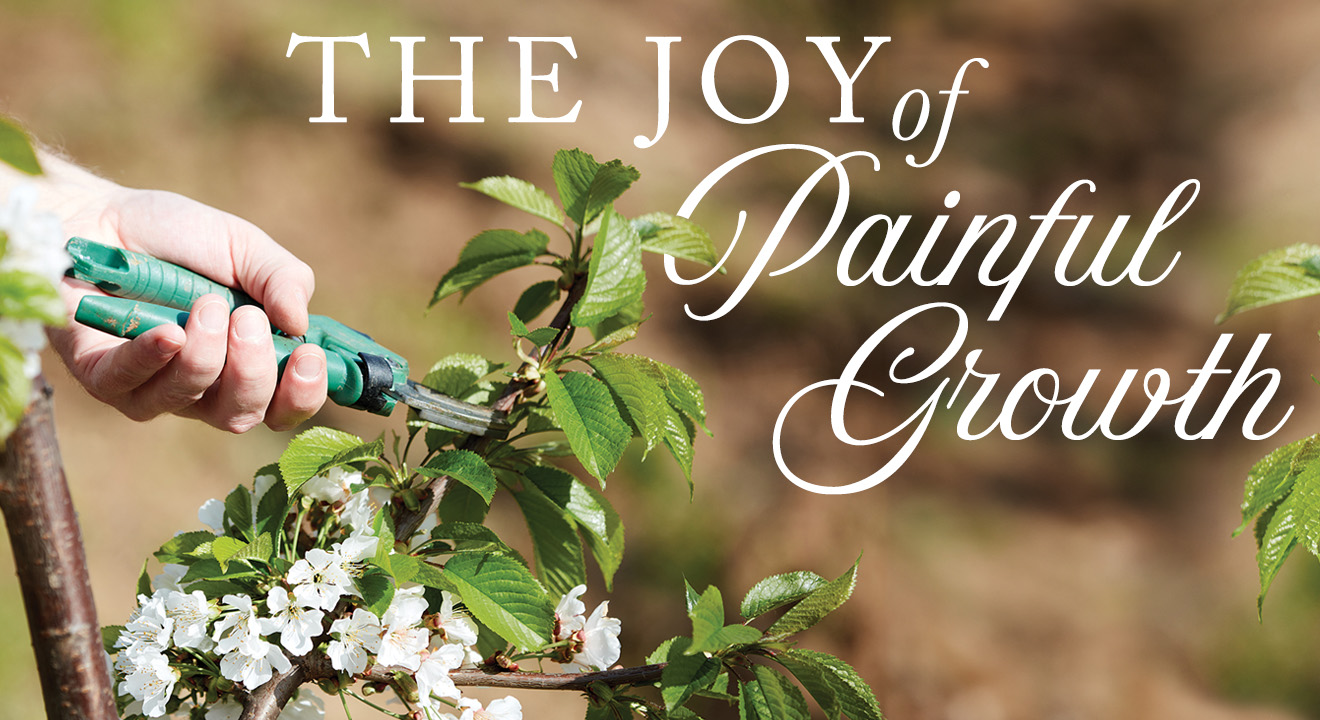 The Joy of Painful Growth article