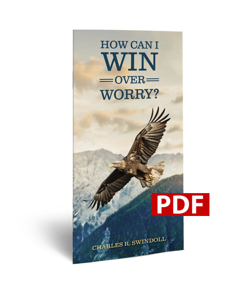 How Can I Win Over Worry - PDF