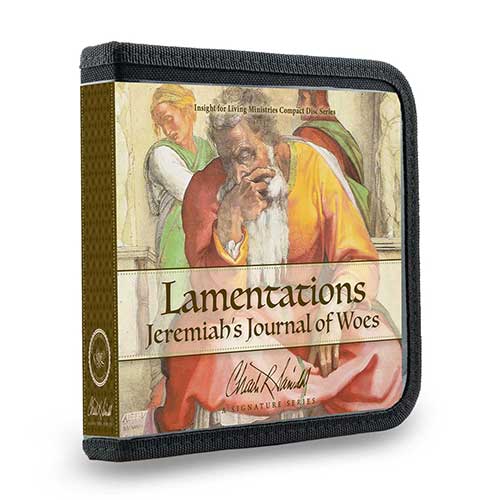 Lamentations: Jeremiah's Journal of Woes (A Signature Series)