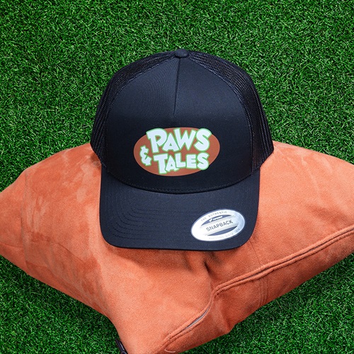 P&T Ball Cap