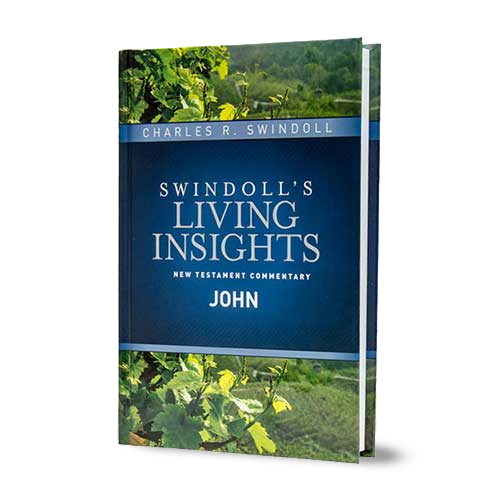 Swindoll's Living Insights New Testament Commentary <em>Insights on John</em>