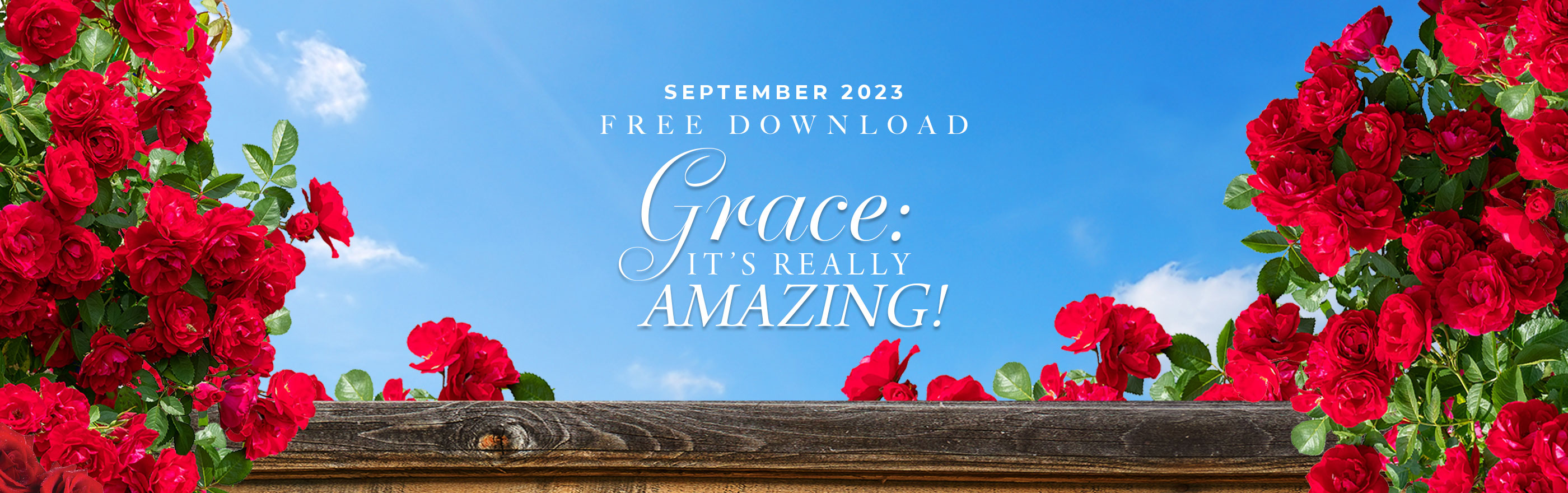 This Month's Free Download