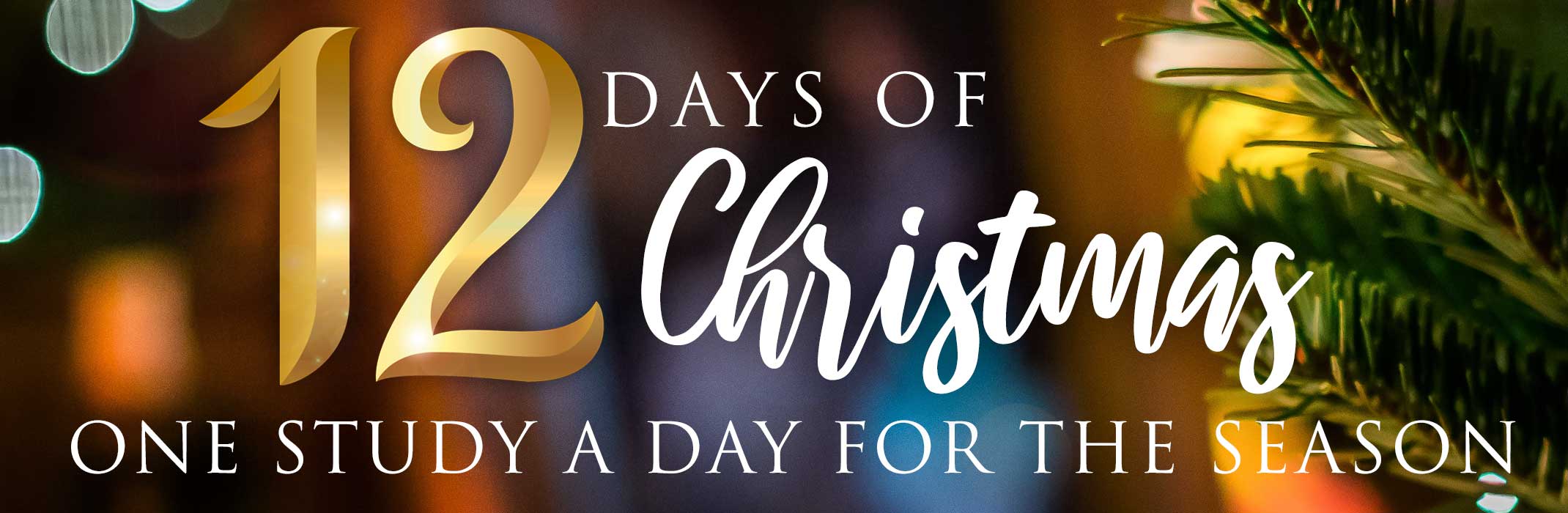 12 Days of Christmas Study